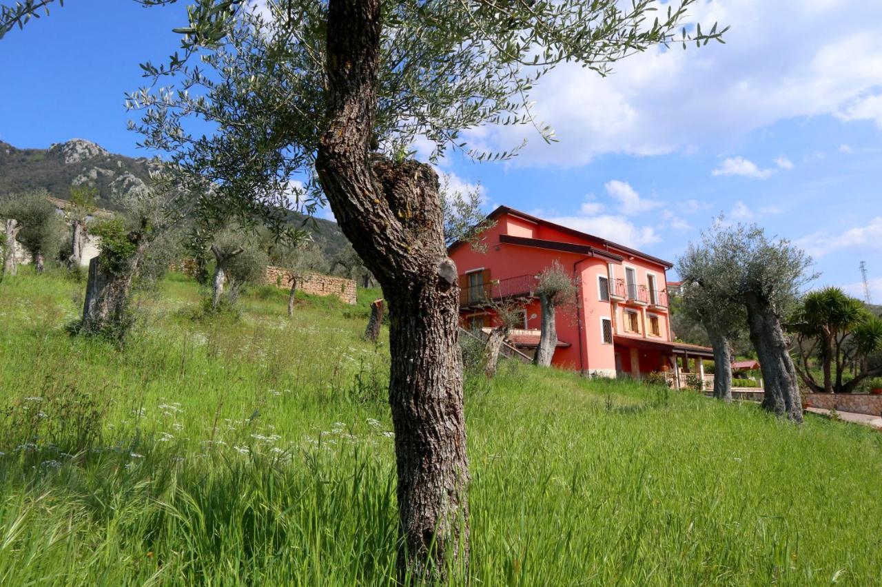 B&B La Casa Del Sole Controne Eksteriør billede